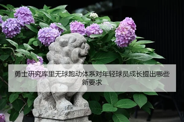勇士研究库里无球跑动体系对年轻球员成长提出哪些新要求